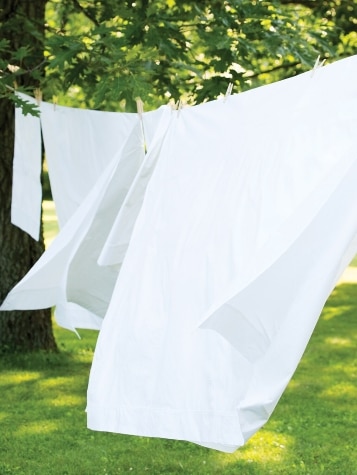 Clothesline Crisp Cotton Percale Sheet Set