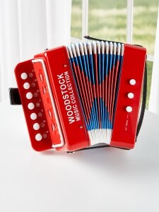 Real Accordion for Kids