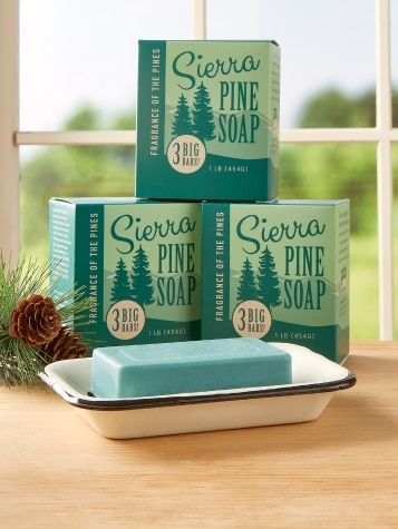 Cascadia Bar Soap Variety Pack - Body Wash Bar Soap For Men & Women - 3  (4Oz) Bars In Low Waste Tins, Outdoors Scent Selection - Pacific Gifts 