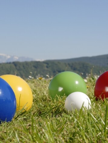 4Pcs Wooden Balls Grass Rolling Balls Outdoor Sports Balls Wood Bocce Balls  Bocce Game Supplies