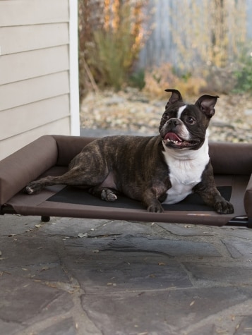 Posh Pet Cot With Bolster, In 2 Sizes
