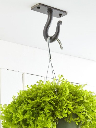 Wrought Iron 4 Ceiling Hook