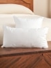 Indoor/Outdoor Throw Pillow Insert, 2 Sizes