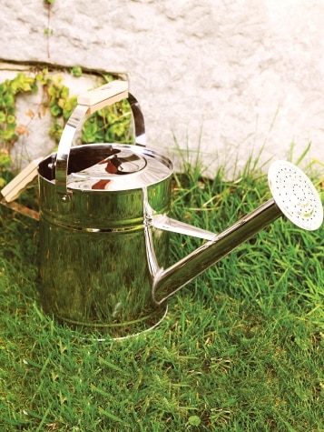 Stainless-Steel Watering Can In Garden Setting