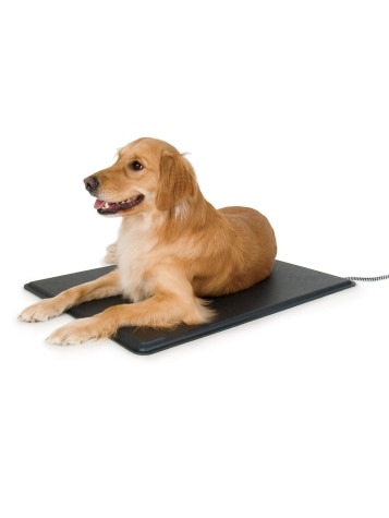 Best dog heating pad best sale