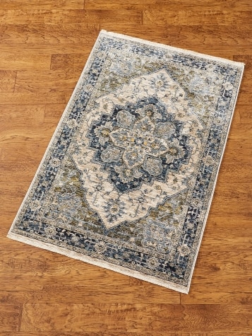 Centertown Medallion Space-Dyed Area Rug