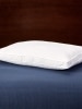 Loft and Support Back and Side Sleeper Bed Pillow