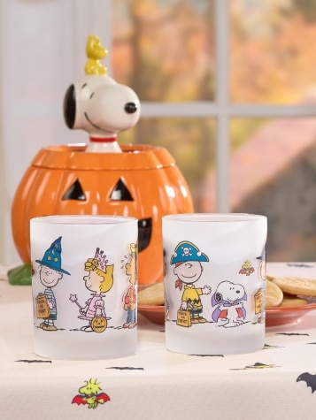 Peanuts Frosted Halloween Glass, Set of 2