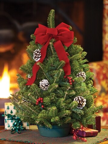 Classic Balsam Tabletop Christmas Tree, In 2 Sizes