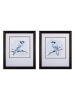 Peaceful Blue Jay Art Print, Set of 2