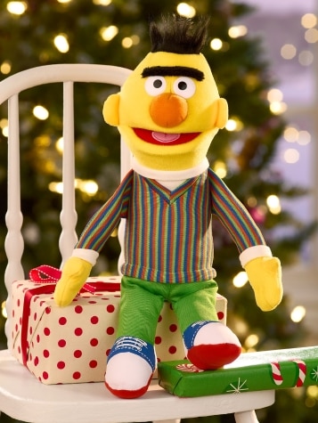 Sesame Street Bert Plush Toy