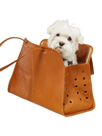 Pampered Leather Dog Carrier