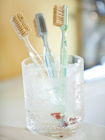 Natural Bristle Toothbrush, Set of 3