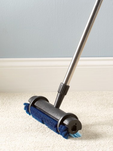 Carpet Cleaning Telescoping Rug Brush
