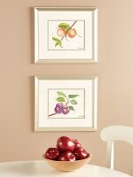 Peach And Plum Framed Art Prints by Donnel Barnum, 2 Prints