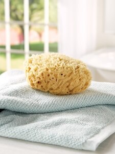 Natural Wool Sea Sponge, 5 Inch to 6 Inch
