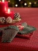 Mountain Weave Christmas Cotton Napkins, Set of 2