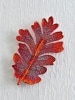Oak Leaf Pin for Women 