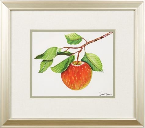 Apple And Pear Framed Art Prints by Donnel Barnum, 2 Prints