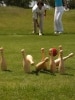 Solid Wood Lawn Bowling Set With Carrying Basket