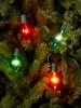 Multicolor Teardrop Christmas Indoor/Outdoor Light String, 10 Lights