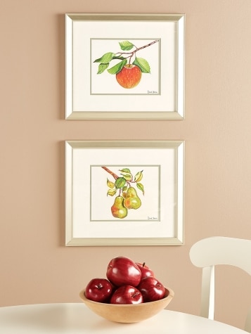 Apple And Pear Framed Art Prints by Donnel Barnum, 2 Prints
