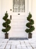 Pre-Lit Artificial Topiary, Set of 2