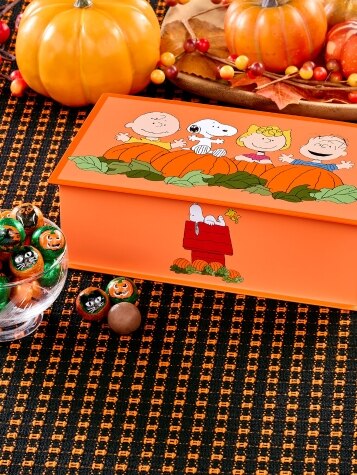 Peanuts Great Pumpkin Halloween Tin With Foiled Milk Chocolate Balls, 10 Ounces