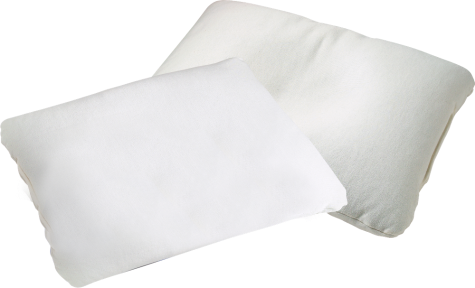All-Natural Buckwheat Pillows, In Two Sizes