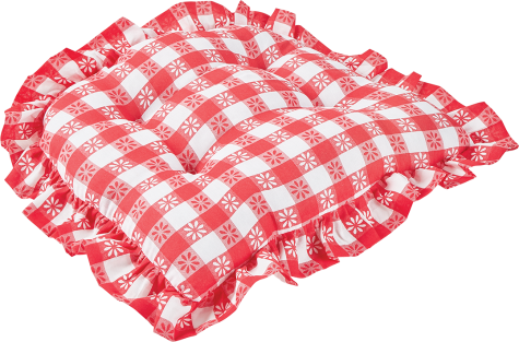 Gingham Blossom Ruffled Red Chair Pad