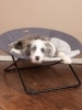 Elevated Gray Comfort Cot for Pets, In 3 Sizes