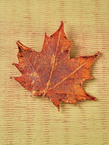 Sugar Maple Leaf Pin for Women 