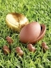 Gold Foil Wrapped Chocolate Easter Egg with Chicks