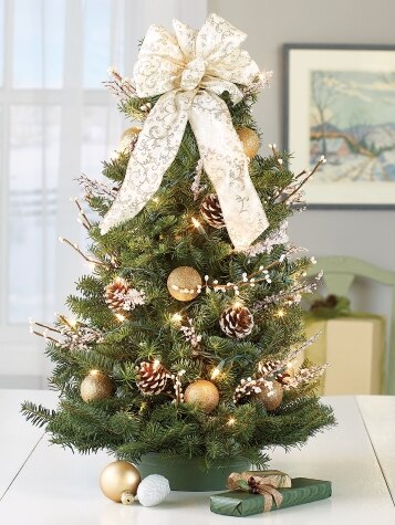 Winter Elegance Balsam Tabletop Tree with Bow