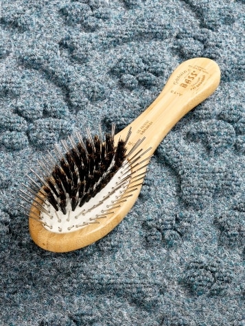 Bass Boar Bristle and Wire Pin Oval Pet Brush