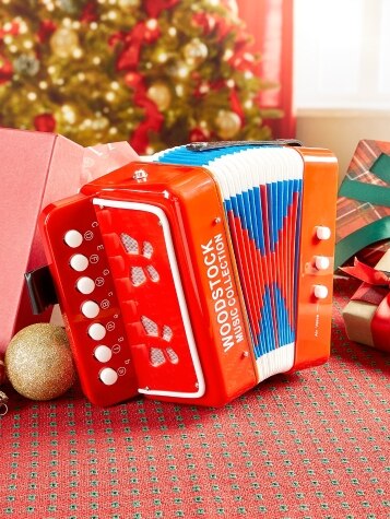 Real Accordion for Kids