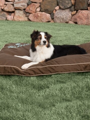 Weather-Resistant Indoor/Outdoor Pet Bed