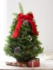 Classic Balsam Tabletop Christmas Tree, In 2 Sizes