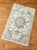 Timeless Medallion Indoor/Outdoor Persian Area Rug