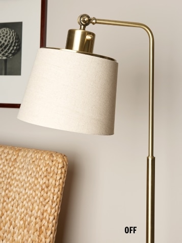 Cool-to-Warm Adjustable Floor Lamp