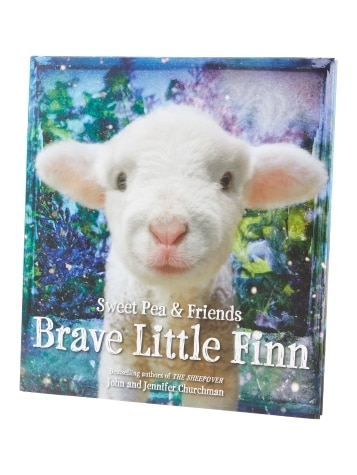 Brave Little Finn Book